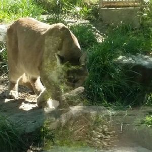 Meet your Posher, Sally