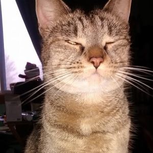 Meet your Posher, Rhonda