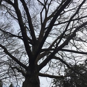 Meet your Posher, Azeb