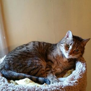 Meet your Posher, Maria