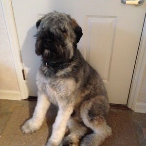 Meet your Posher, Fujimo