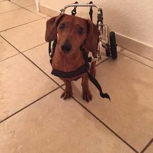 Meet your Posher, Lori