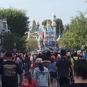 Meet your Posher, Robin