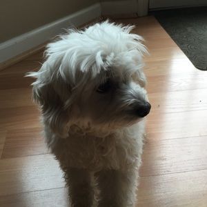 Meet your Posher, Aimee