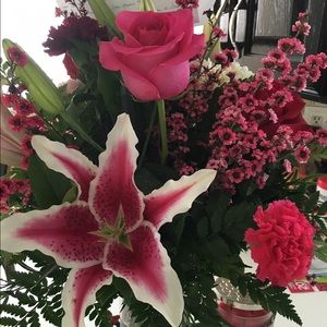 Meet your Posher, Crystal