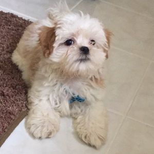 Meet your Posher, Katelynn