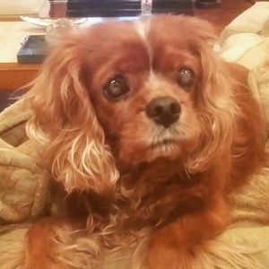 Meet your Posher, Cindy