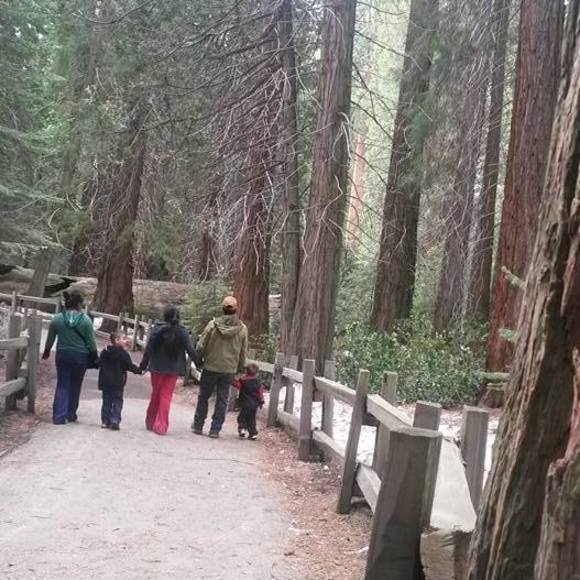 Meet your Posher, Isabel - Picture 1 of 1