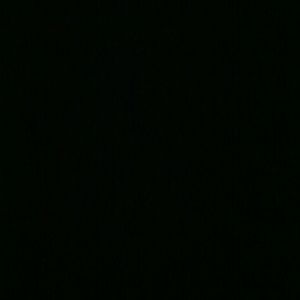 Meet your Posher, Ariana