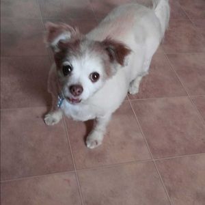 Meet your Posher, Cheyenne