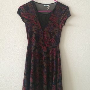 Urban Outfitters red rose mesh v-dress