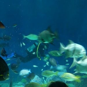 Meet your Posher, Nikki