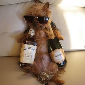 Meet your Posher, Deborah