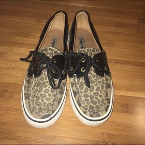 Cheetah Sperry