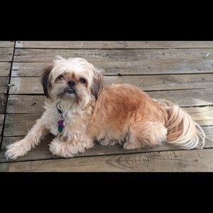 Meet your Posher, Colleen