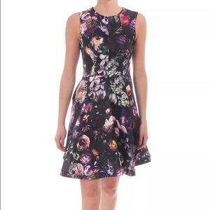NWT Ted Baker Inesia Shadow Floral Skater Dress