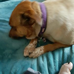 Meet your Posher, Tiffany