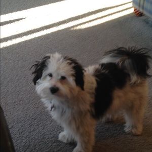 Meet your Posher, Becky