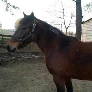 Meet your Posher, Cynthia