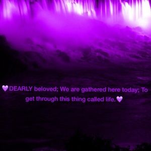 Meet your Posher, Kk