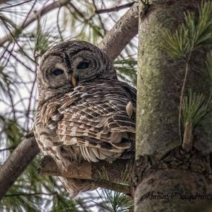 Meet your Posher, Shelly