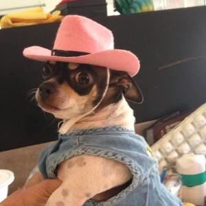 Meet your Posher, Barbie