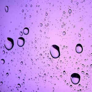 Meet your Posher, Eileen