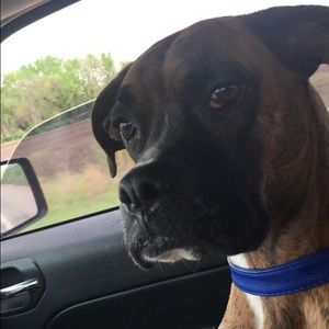 Meet your Posher, Heather