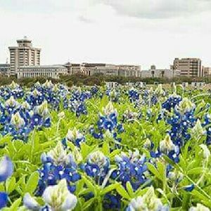 Meet your Posher, Paula