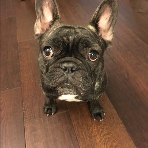 Meet your Posher, Ally