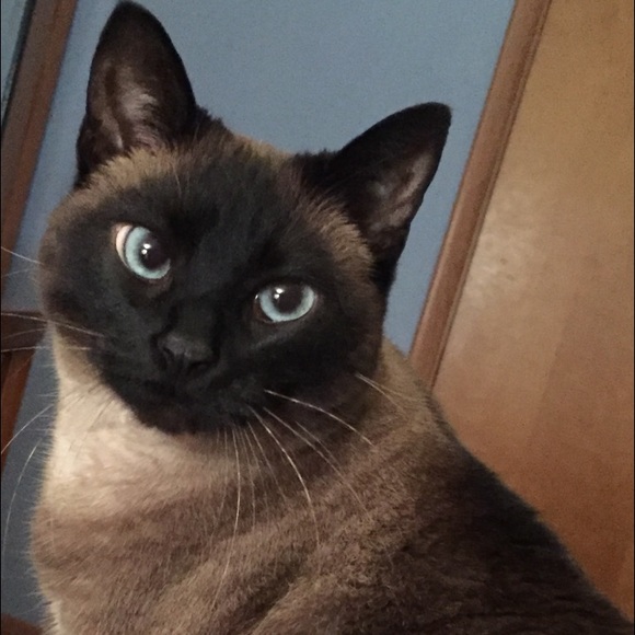 Meet your Posher, Stacy