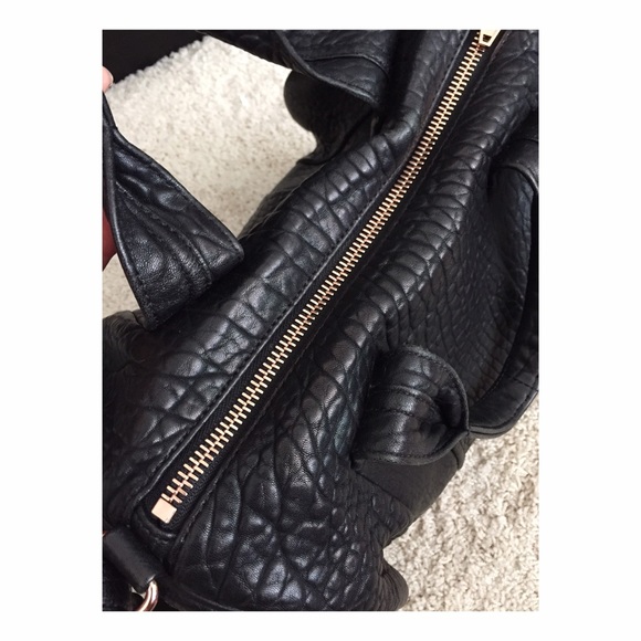 ❌SOLD❌ Alexander wang Rocco - Picture 4 of 4