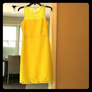 highlighter lace cocktail dress