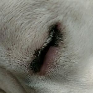 Meet your Posher, Brad