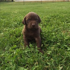 Meet your Posher, Avery