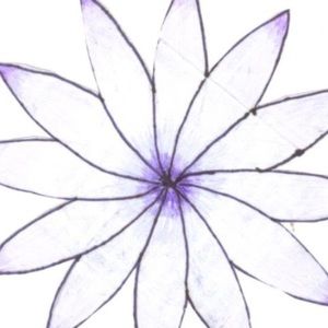 Meet your Posher, Kylie