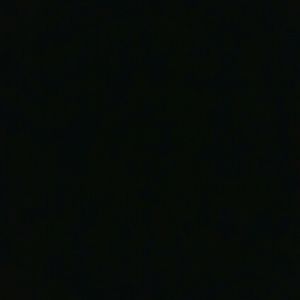 Meet your Posher, Arlene