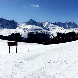 Meet your Posher, Allie