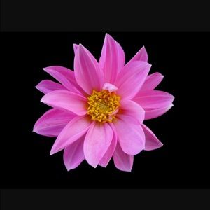 Meet your Posher, Jaime