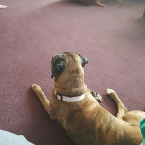 Meet your Posher, Brittany