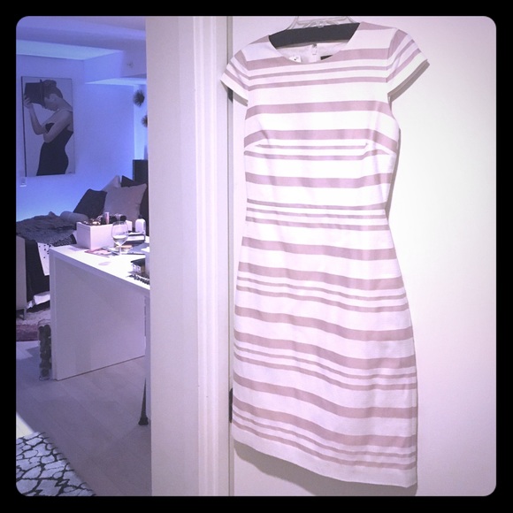 NWT Brocade Lavender/White Striped Dress