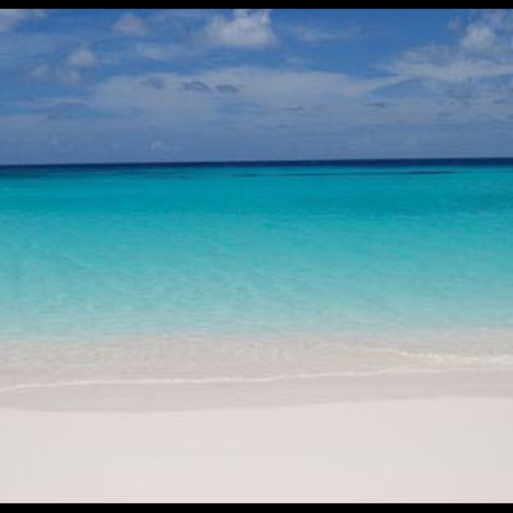 Meet your Posher 3red