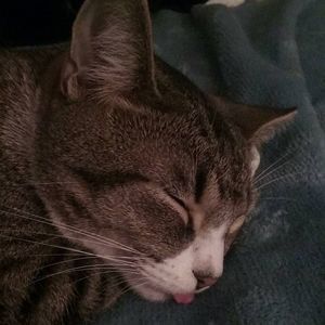 Meet your Posher, Suki