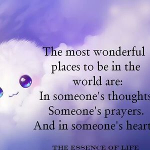 Meet your Posher, Alison