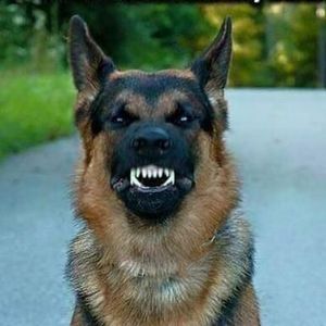 Meet your Posher, Jeanne