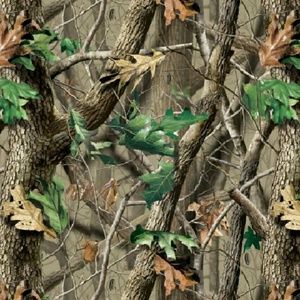 Meet your Posher, Kaitlyn