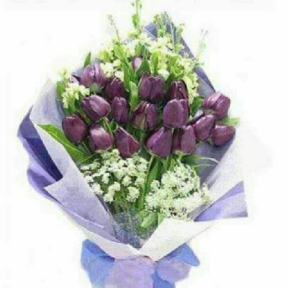 Meet your Posher, Keona