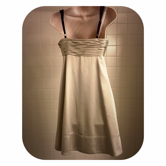 Pale Gold Silk Dress with Black Bejeweled Neckline - Picture 4 of 4
