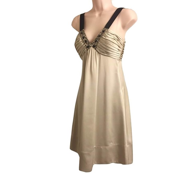 Pale Gold Silk Dress with Black Bejeweled Neckline - Picture 3 of 4