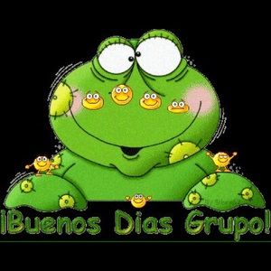 Meet your Posher, Ilsend